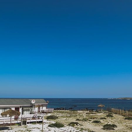 Willa Refugio Humboldt Punta Choros Zewnętrze zdjęcie