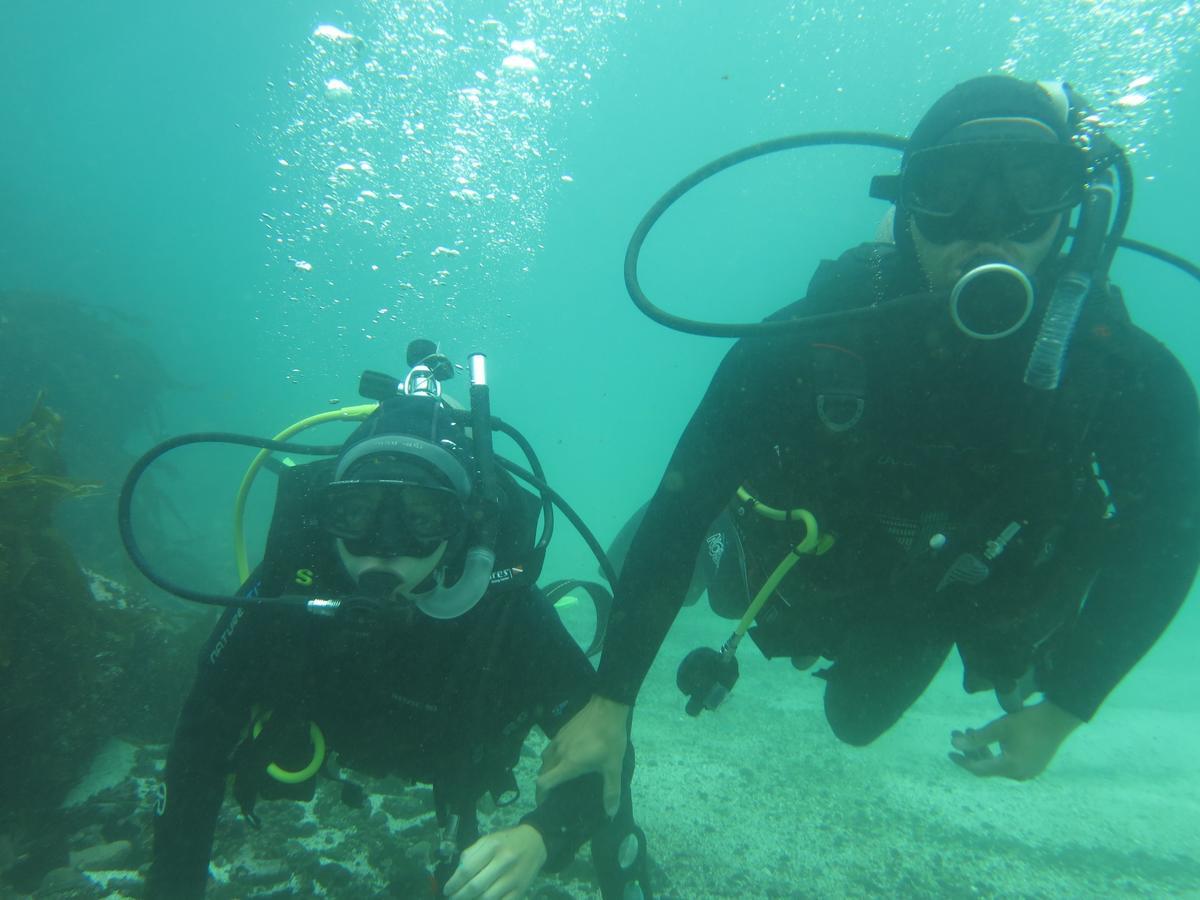 Willa Refugio Humboldt Punta Choros Zewnętrze zdjęcie