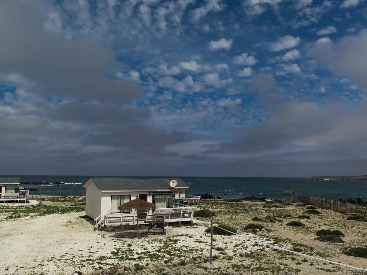 Willa Refugio Humboldt Punta Choros Zewnętrze zdjęcie